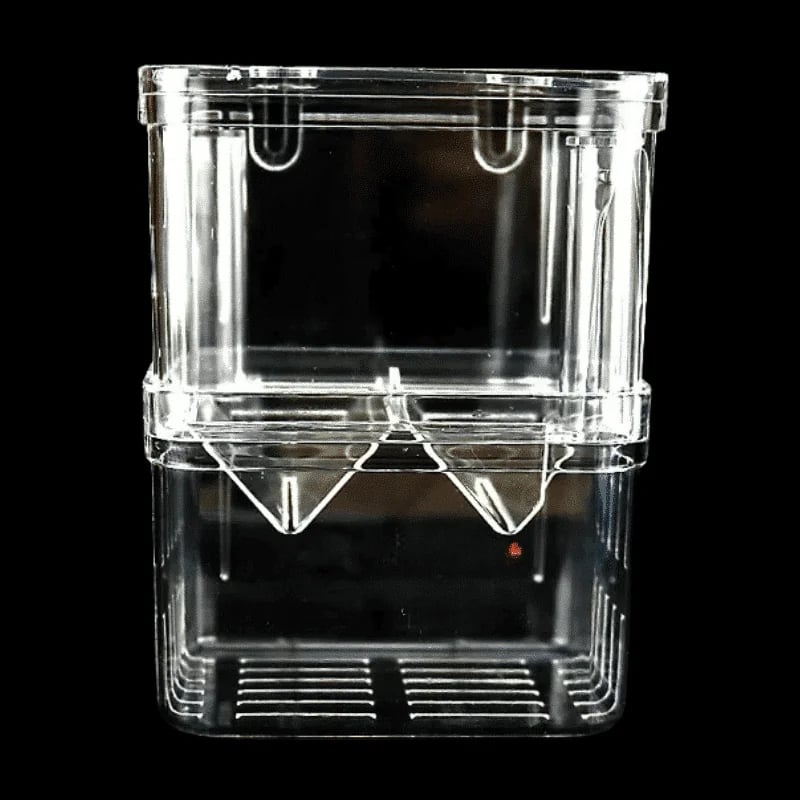 孔雀魚繁殖盒怎麼選？新手必看：提升仔魚存活率的4大選購重點