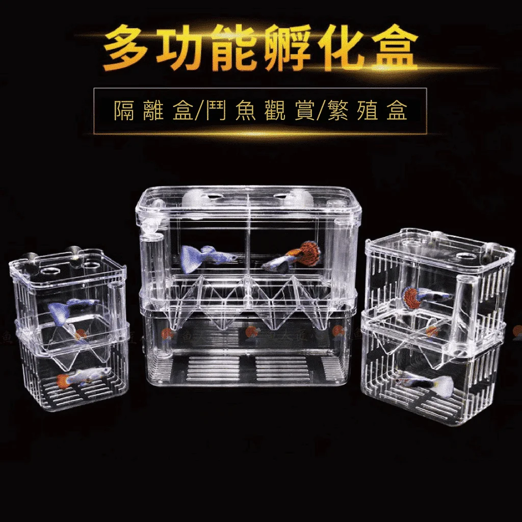 吸盤型V字型漏斗多功能隔離盒／孵化盒