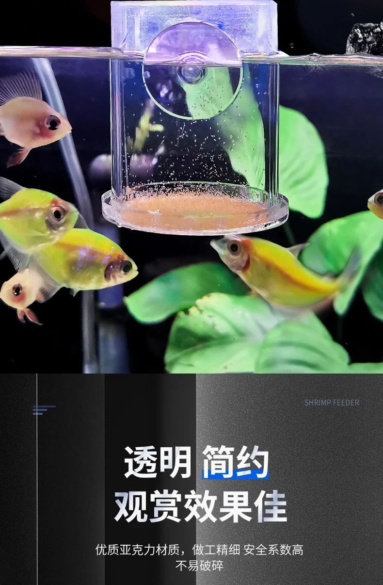 豐年蝦產品效果圖