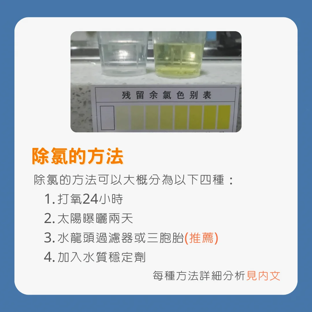 孔雀魚換水指南：換水的細節及維持水質的關鍵技巧_除氯的方法