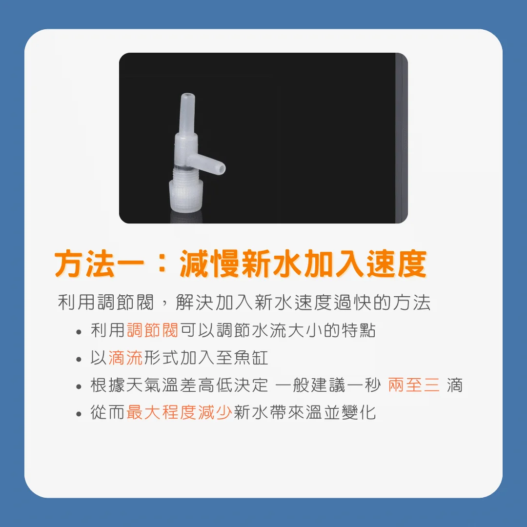 孔雀魚換水指南：換水的細節及維持水質的關鍵技巧_方法一_減慢新水加入速度1