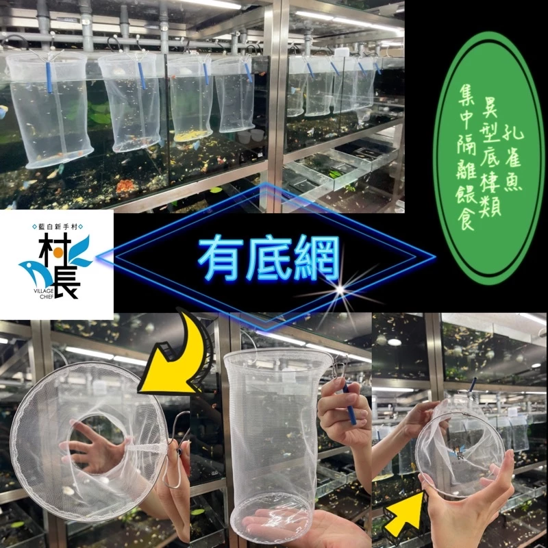 藍白新手村 有底網孔雀魚隔離網